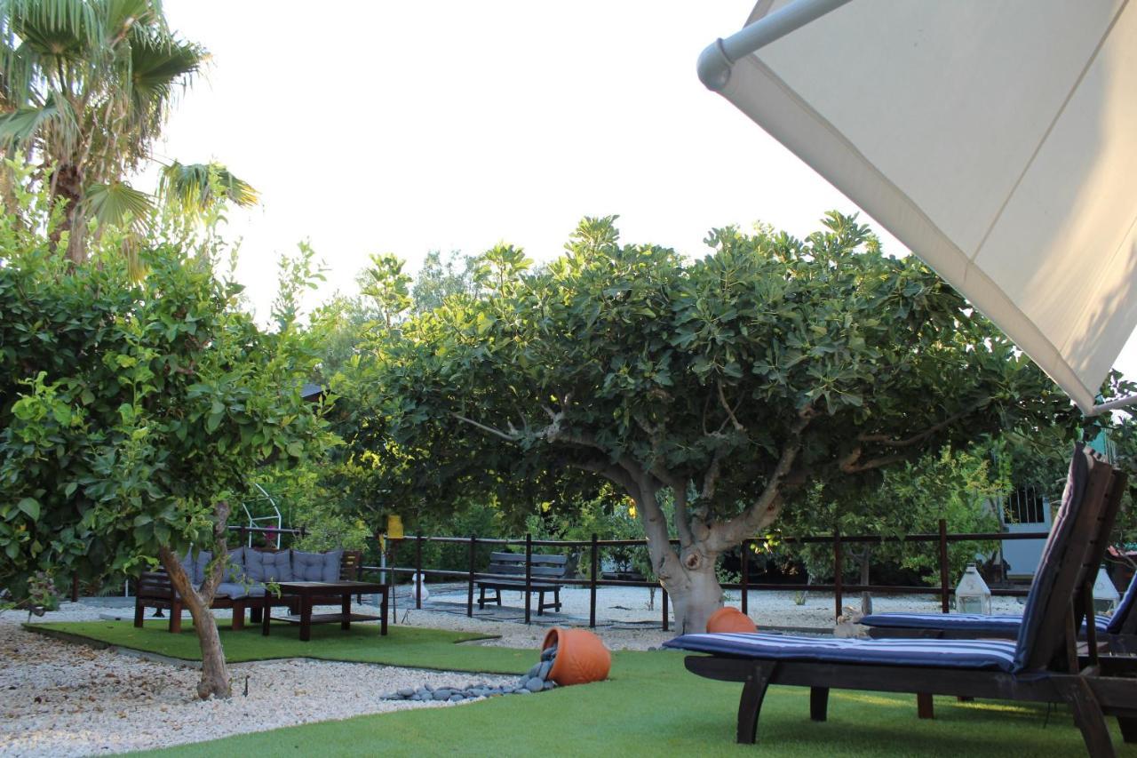 فيلا St.George'S Country Retreat ليماسول المظهر الخارجي الصورة